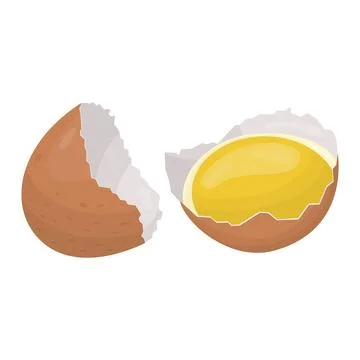 Raw eggs flow out of the shell. Vector illustration イラスト素材