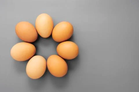 Raw eggs isolated on grey background, protein food. Copy spacy. Stock Photos