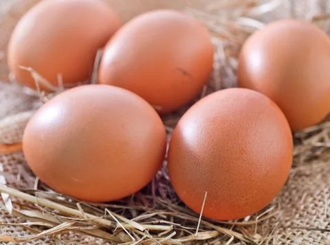 Raw eggs Stock Photos