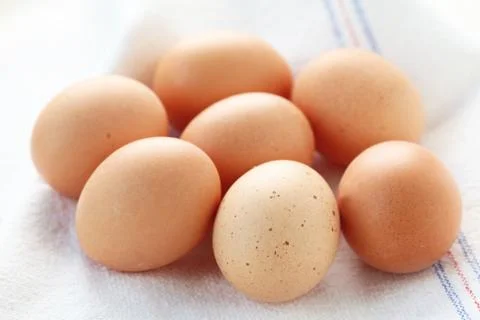 Raw Eggs Stock Photos