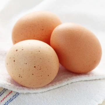 Raw Eggs Stock Photos