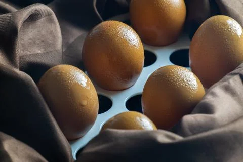 Raw Eggs Stock Photos