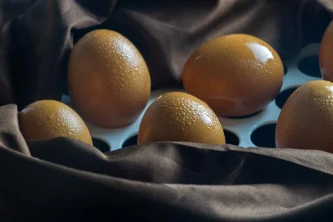 Raw Eggs Stock Photos