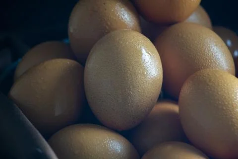 Raw Eggs Stock Photos
