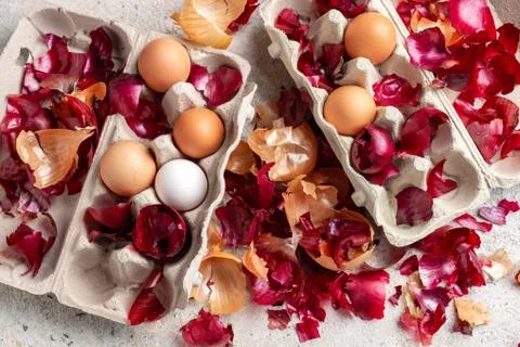 Raw eggs, ready to be dyed with onion peels Stock Photos