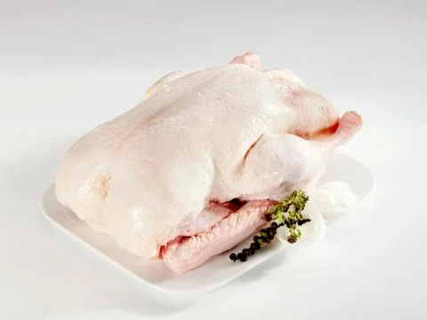 A raw fattened duck on a platter Stock Photos