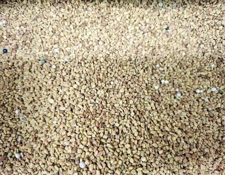 Raw fenugreek seeds texture pattern background used for culinary and medicine Stock Photos