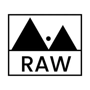 RAW file format video recording symbol. Camera interface Stock Illustration