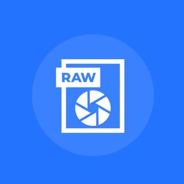 Raw file icon for web Stock Illustration
