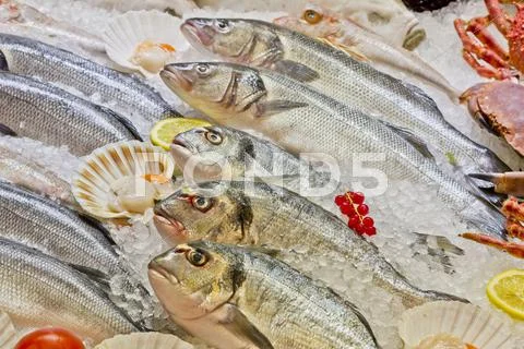 Raw fish and seafood in ice Stock Photos