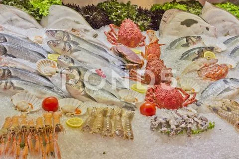 Raw fish and seafood in ice Stock Photos