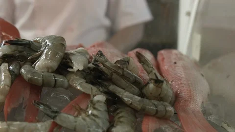 Raw fish and shrimp Stock Footage 90640571