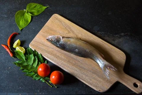 Raw fish on a background Stock Photos