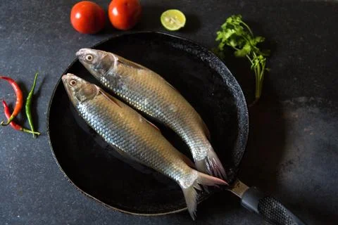 Raw fish on a black background Stock Photos