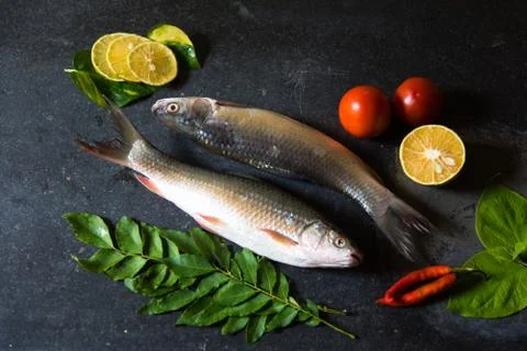 Raw fish on black background Stock Photos