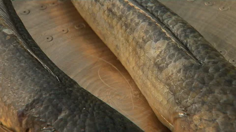 Raw Fish Before cooking Stock Footage 58314719