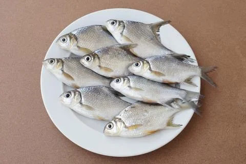 Raw fish for cooking Stock Photos