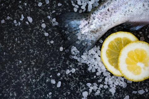 Raw fish on dark background Stock Photos