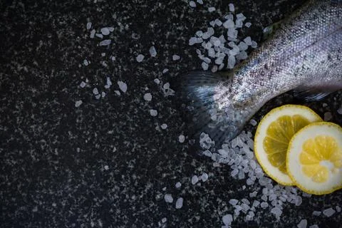 Raw fish on dark background Stock Photos