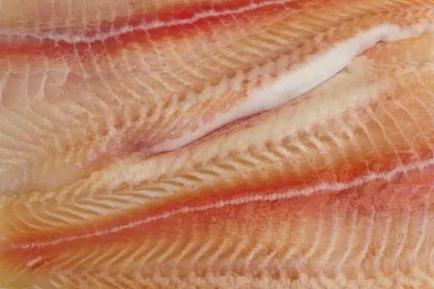 Raw fish fillet Stock Photos