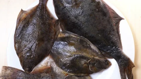 Raw fish flounder close-up rotates Stock Footage 147499618