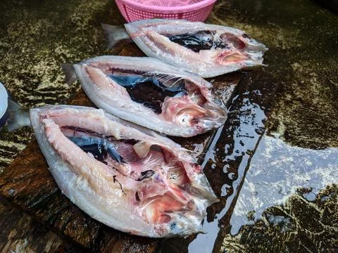 Raw fish that has been cleaned. raw fish slices Foto stock