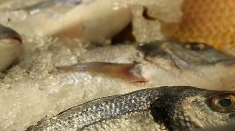 Raw Fish on Ice in the Market Stock Footage 49500612