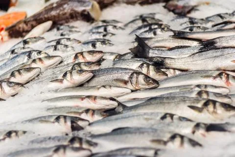 Raw fish on ice Stock Photos