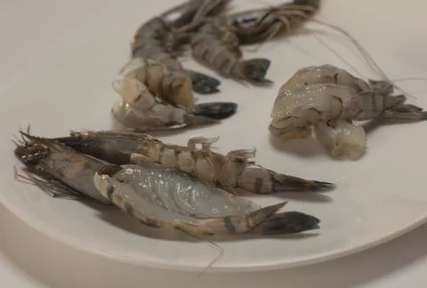 Raw fish in the kitchen ready to cook. Stock Photos