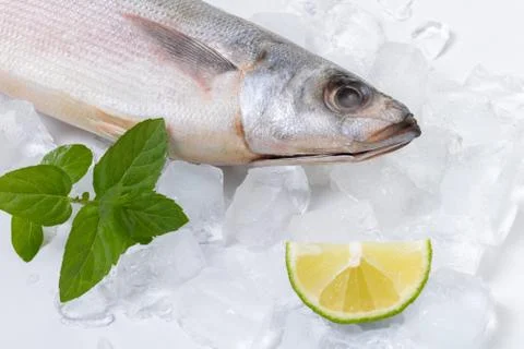 Raw fish lying on ice Stock Photos