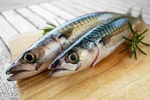 Raw Fish mackerel Stock Photos