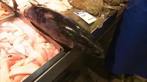 Raw fish meat inside a supermarket Stock Footage 86237788