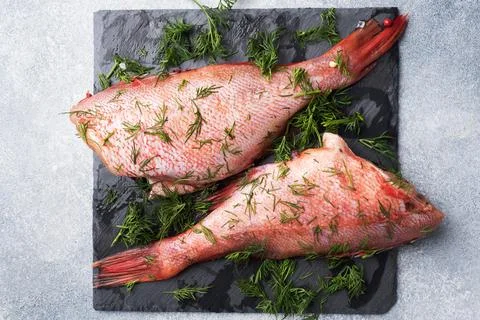 Raw fish perch without a head with dill greens on a slate stand concrete ba.. Foto stock
