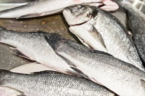 Raw fish Stock Photos