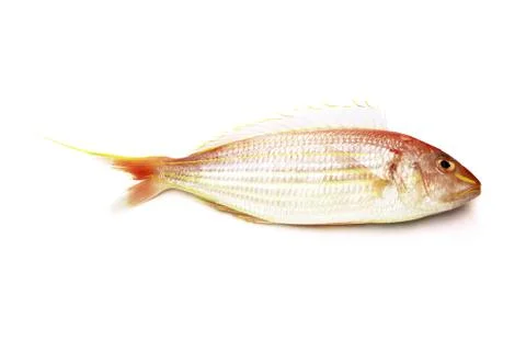 Raw fish Stock Photos