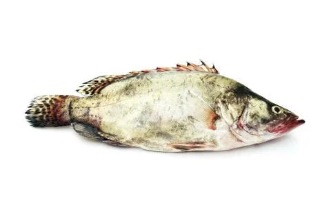 Raw fish Stock Photos