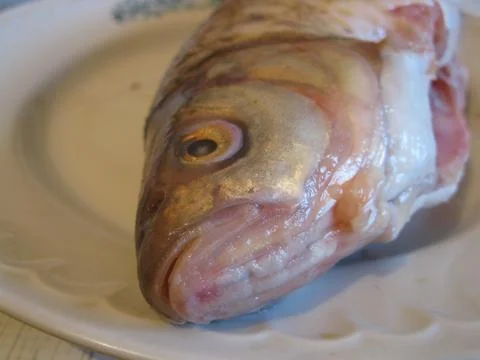 Raw fish on the plate. Macro Stock Photos