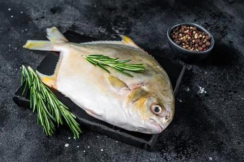 Raw fish pompano with herbs on a marble board. Black background. Top view Stock Photos