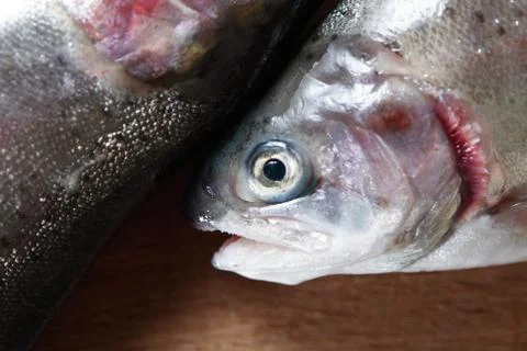 Raw Fish For Preparation Stock Photos