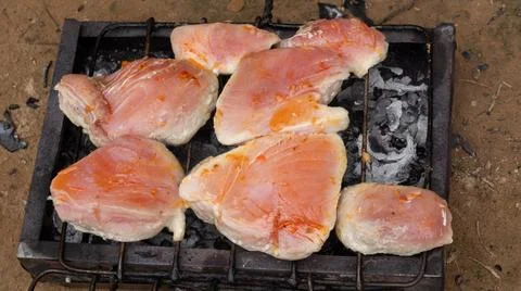 Raw Fish Steaks on a Grill Stock Photos
