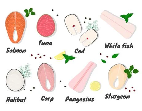 Raw fish steaks. Stock Illustration
