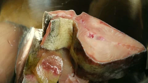 Raw fish steaks placed in stainless steel bowl Stock Footage 317906769