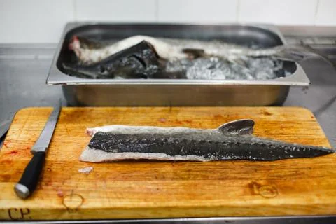 Raw fish sturgeon cooking by professional Фото