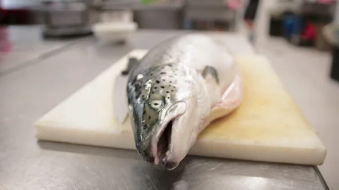 Raw Fish On The Table Of A Restaurant Kitchen Stock Footage 283014227
