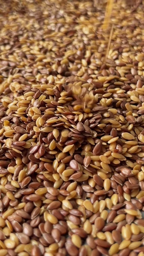 Raw flax seeds falling down macro Stock Footage 336506977