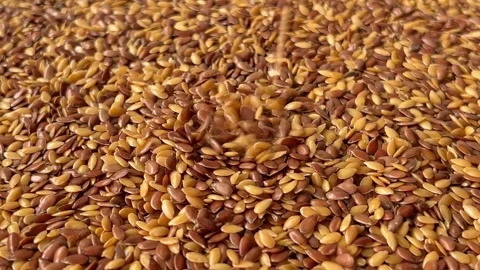 Raw flax seeds falling down macro Stock Footage 336506983