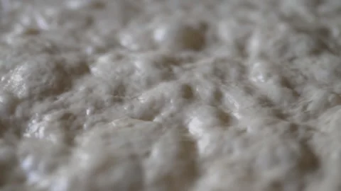 Raw Focaccia Dough Texture with Fermentation Air Bubbles. Stock Footage 319033053