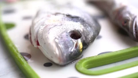 Raw fresh bream fish on a marble counter Vídeo Stock 246656295