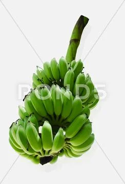 Raw fresh bunch of bananas on white background. Stock Photos