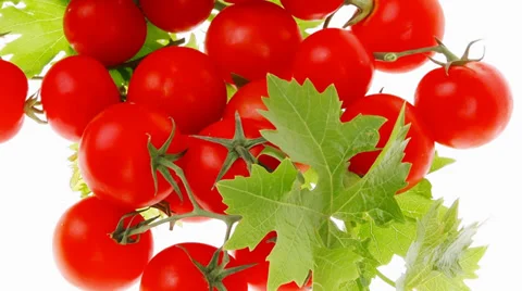 Raw fresh cherry tomatoes Stock Footage 30396164